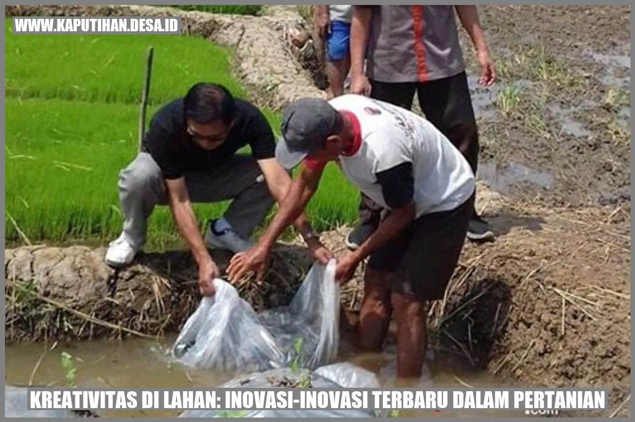 Kreativitas Di Lahan Inovasi Inovasi Terbaru Dalam Pertanian Desa Kaputihan Kab Tasikmalaya