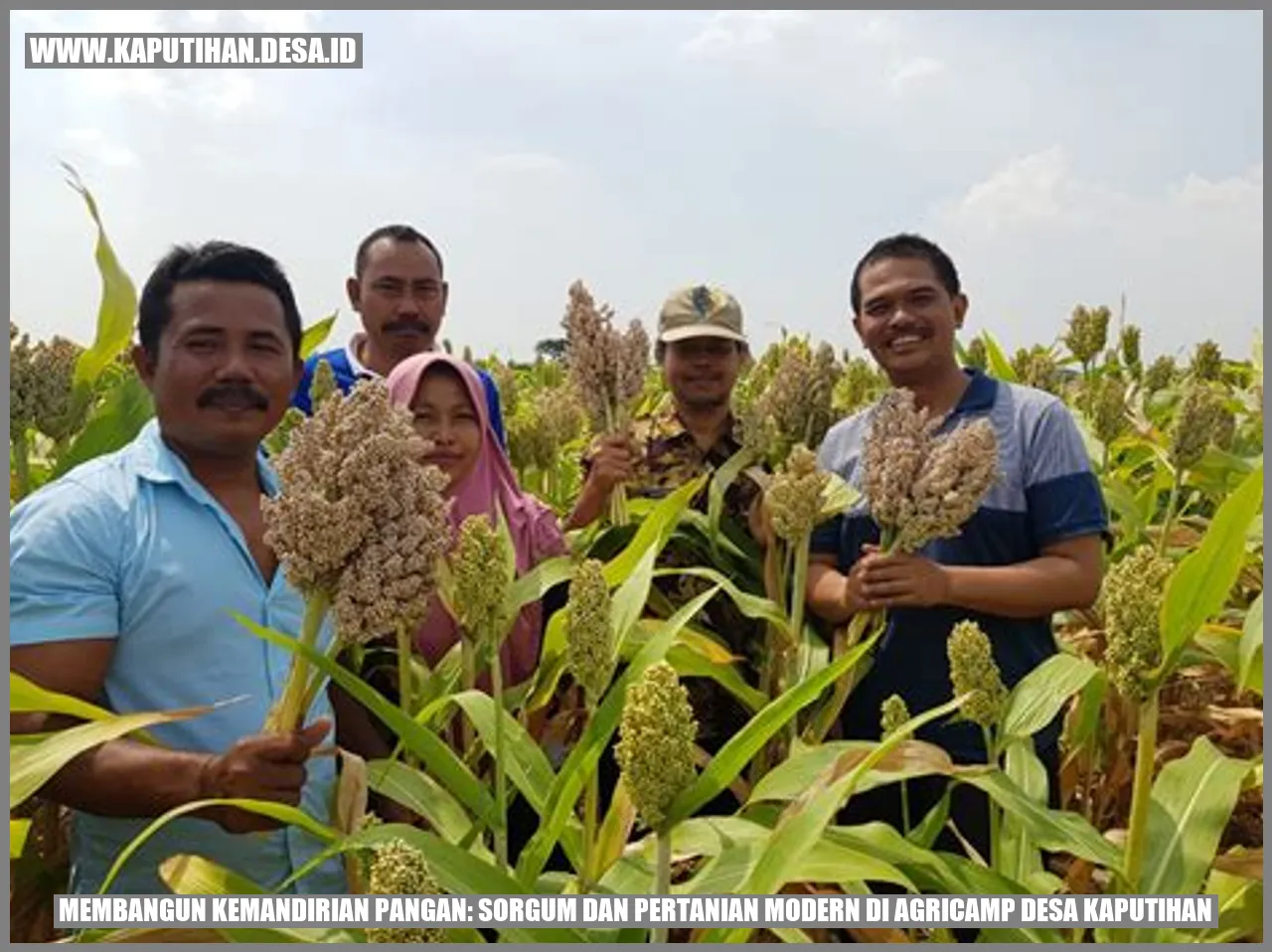 Membangun Kemandirian Pangan: Sorgum dan Pertanian Modern di Agricamp Desa Kaputihan