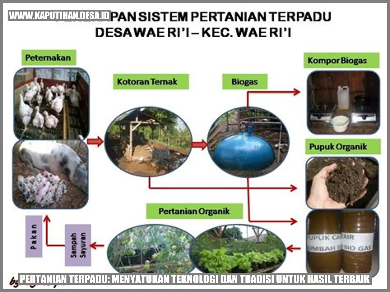 Pertanian Terpadu: Menyatukan Teknologi dan Tradisi untuk Hasil Terbaik